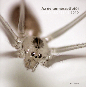 Az év természetfotói