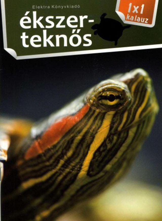 Ékszerteknős - 1x1 kalauz