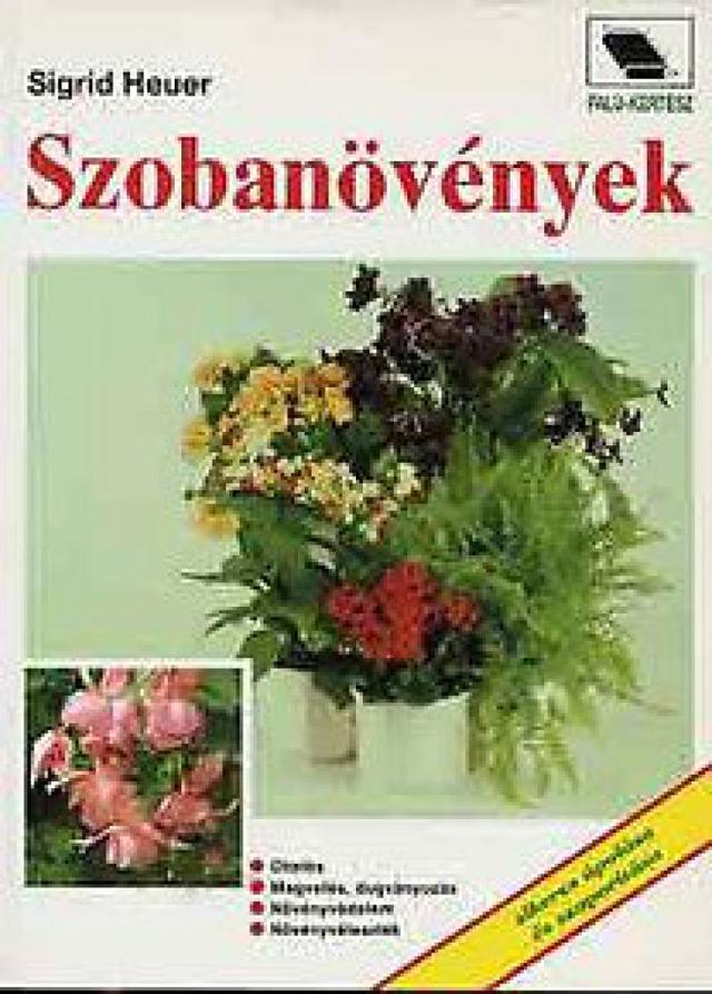 Szobanövények